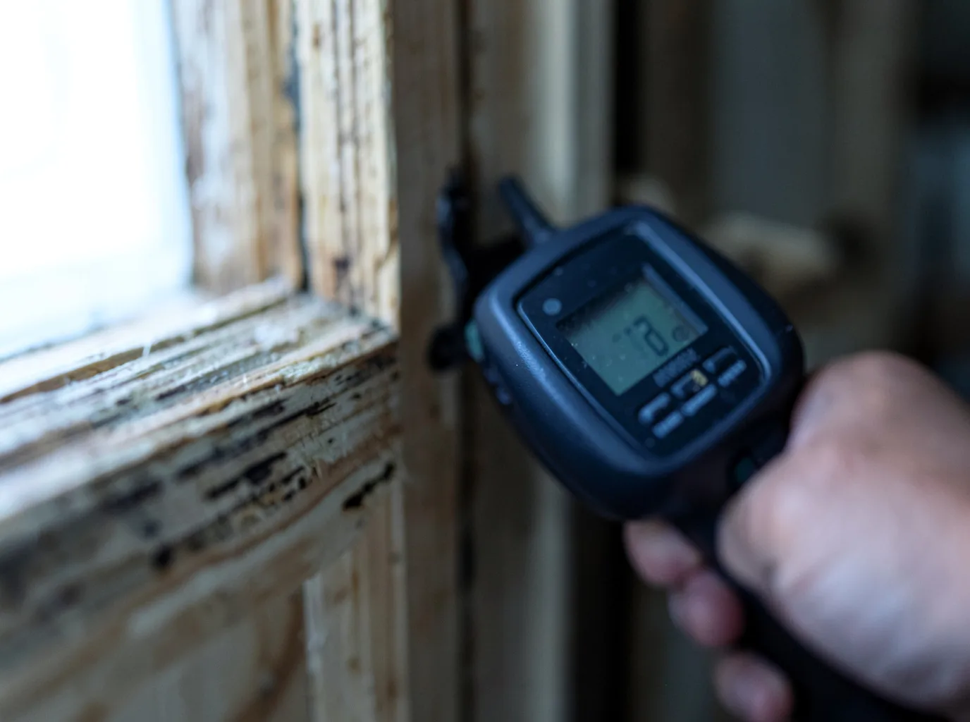 Moisture Inspection And Documentation in Port Gibson, MS